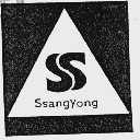SSANG YONG