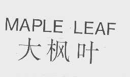 大枫叶   MAPLE LEAF