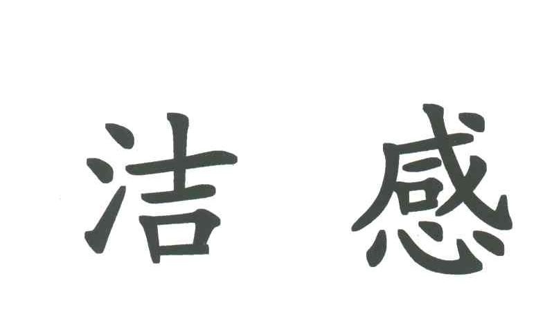 洁感