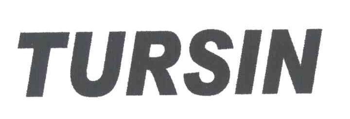TURSIN