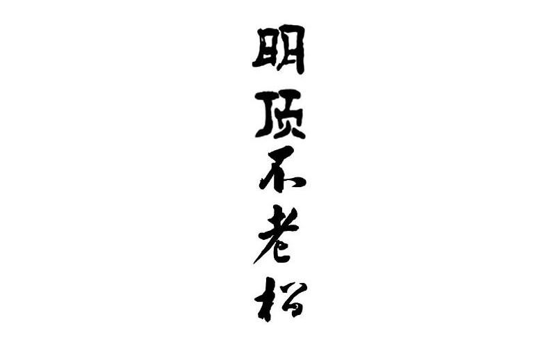 明顶不老松