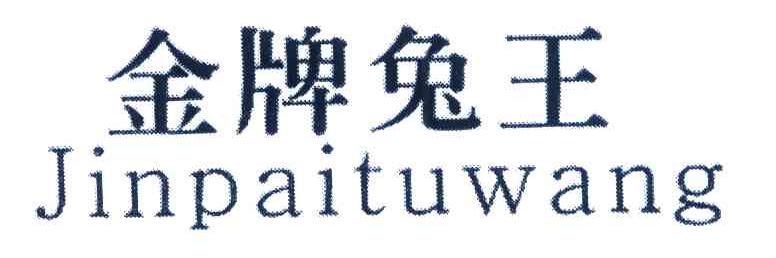 金牌兔王