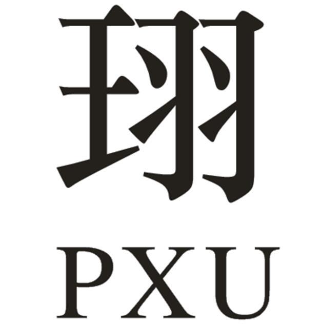 珝 PXU