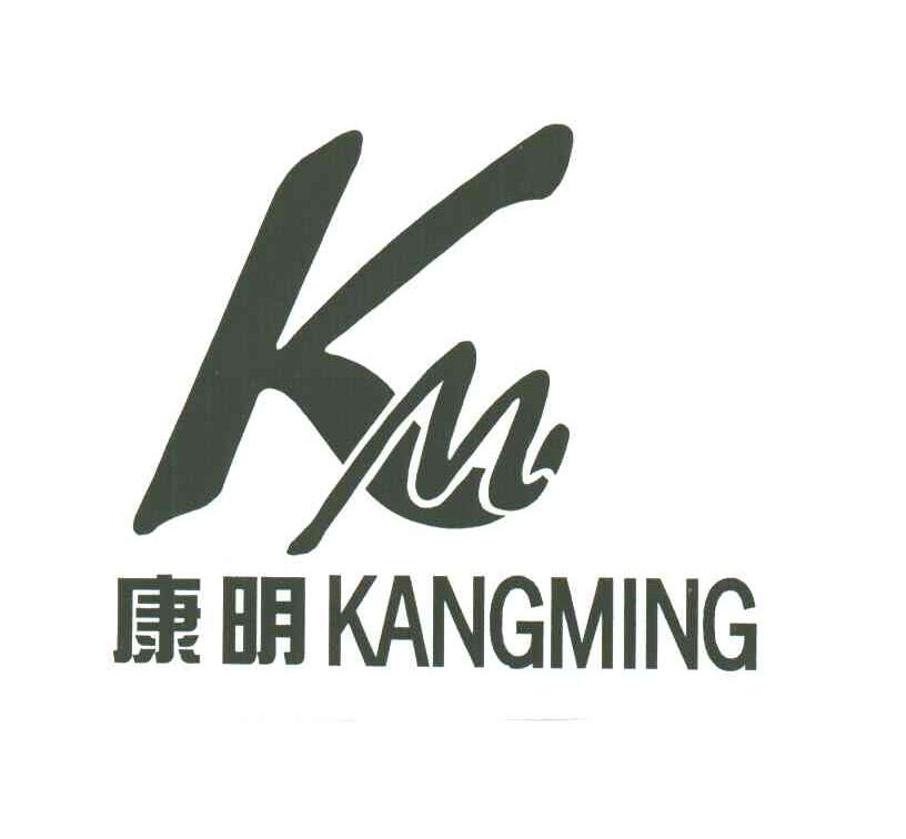 KM;康明