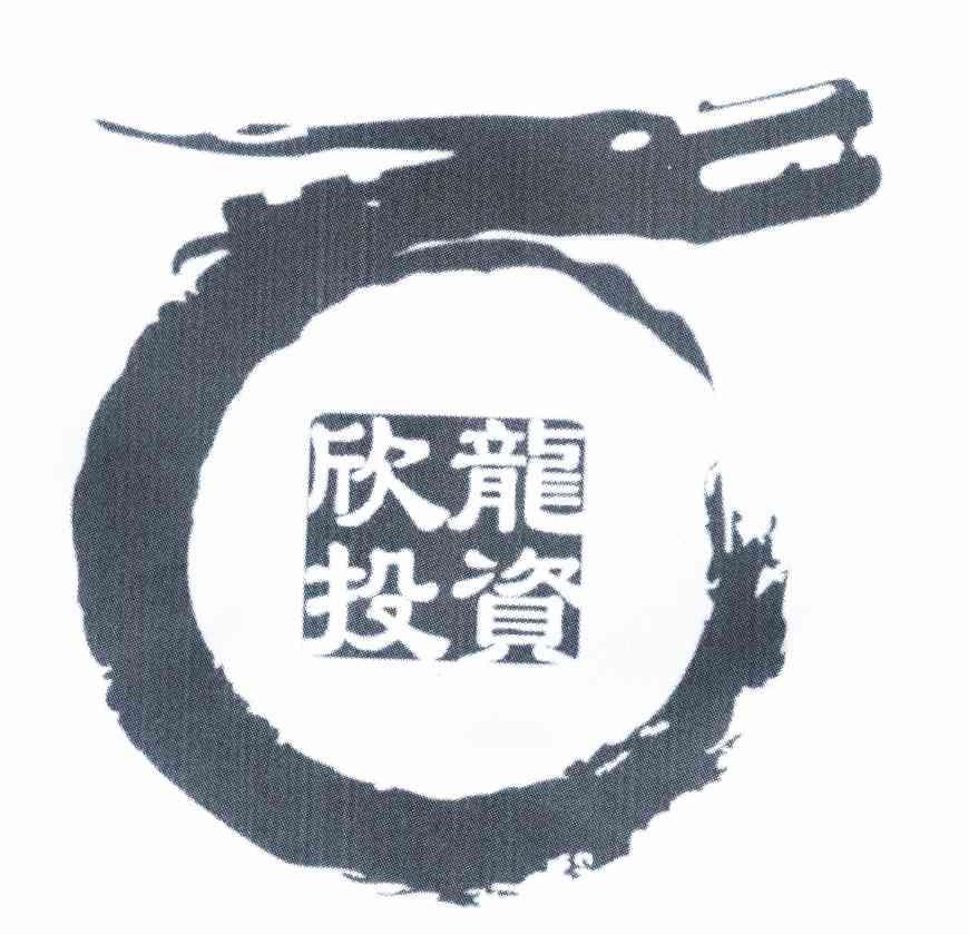 欣龙投资