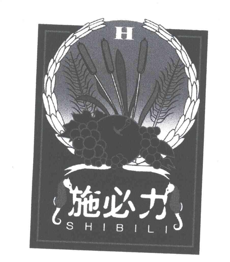 施必力;H