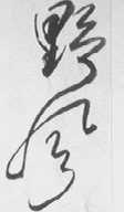 野风