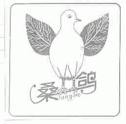 桑鸽