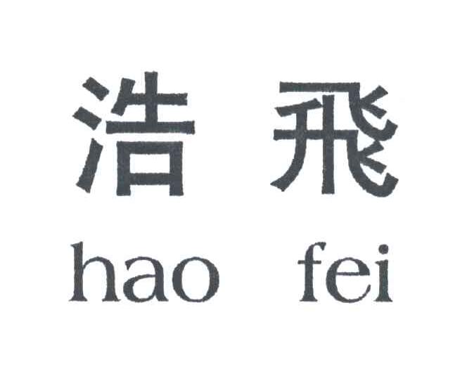 浩飞