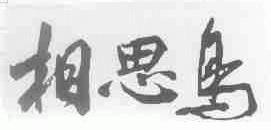 相思鸟