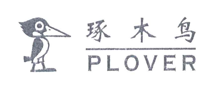 琢木鸟;PLOVER