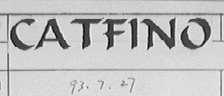 CATFINO