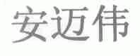 安迈伟