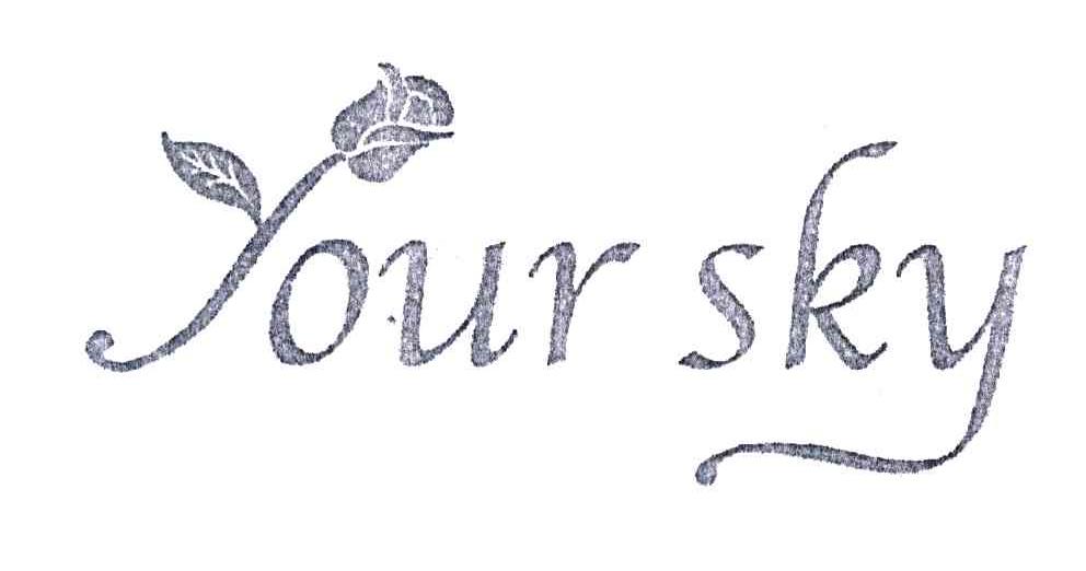 YOUR SKY