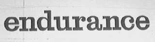 ENDURANCE