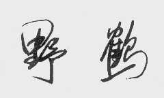 野鹤