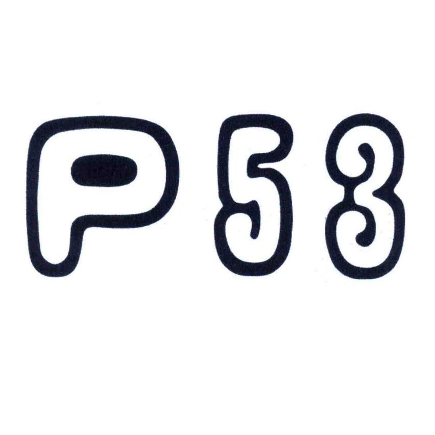 P53