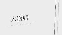 大活鸭