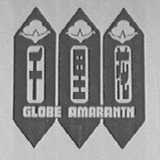 千里花    GLOBE AMARANTH