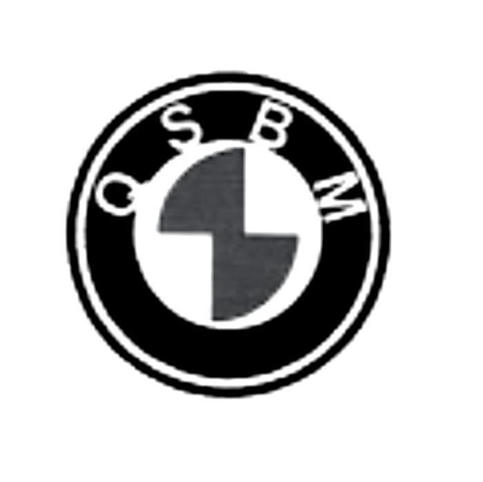QSBM
