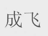 成飞