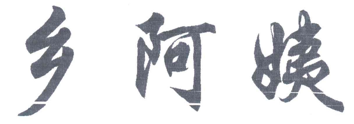 乡阿姨