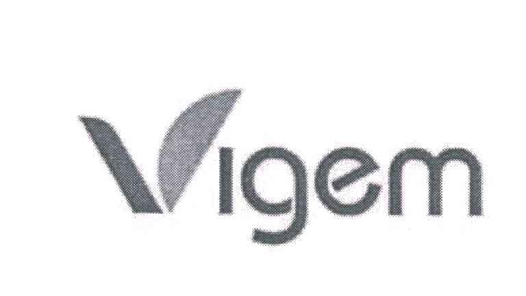 VIGEM