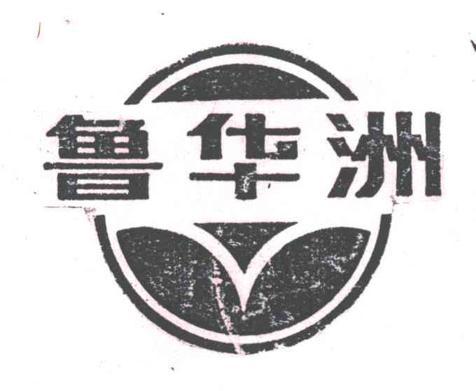 鲁华洲