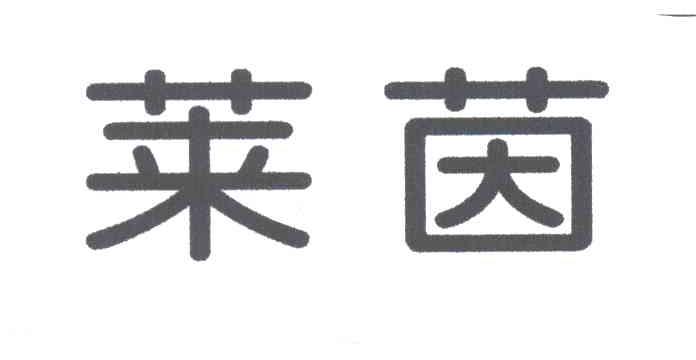 莱茵