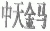 中天金马