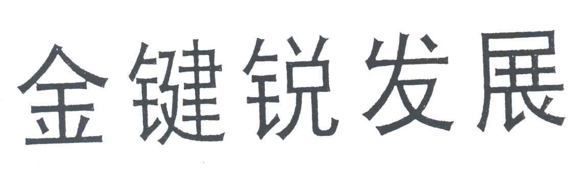 金键锐发展
