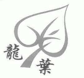 龙叶