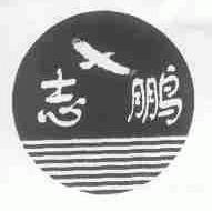 志鹏