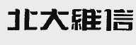 北大维信