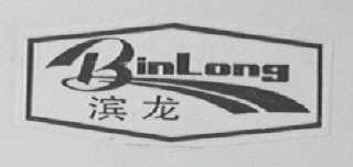 滨龙