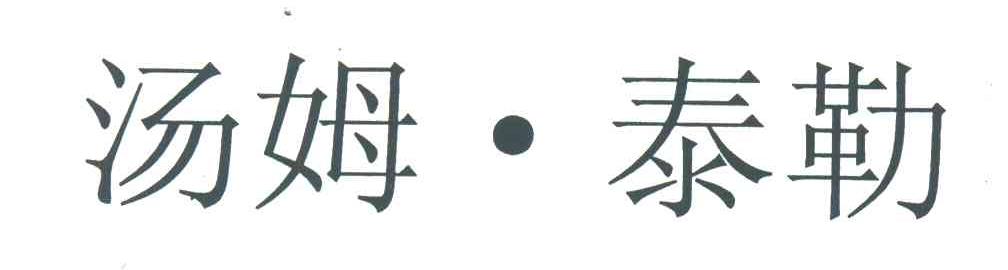 汤姆泰勒