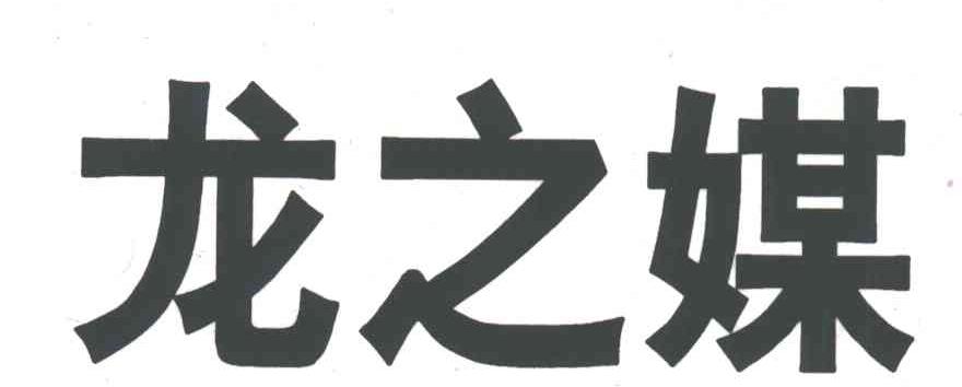 龙之媒