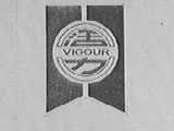 活力  VIGOUR