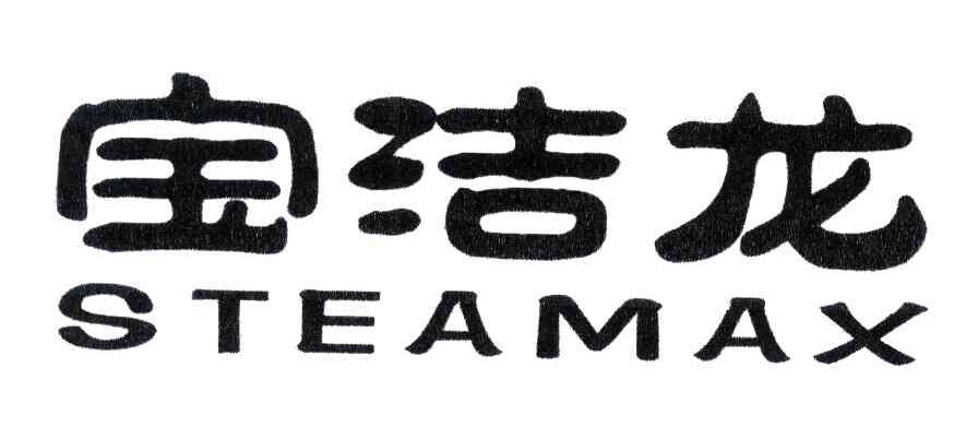 宝洁龙;STEAMAX