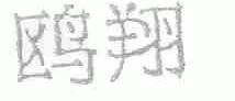 鸥翔