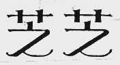 芝芝