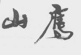 山鹰