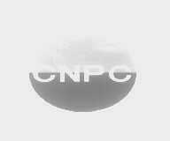 CNPC