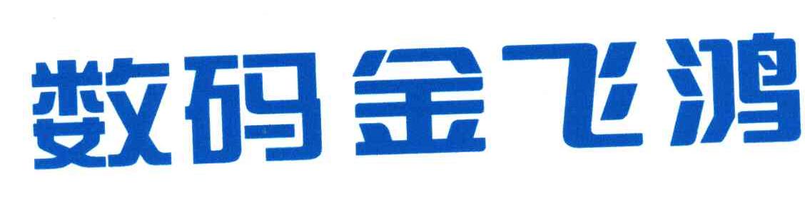 数码金飞鸿