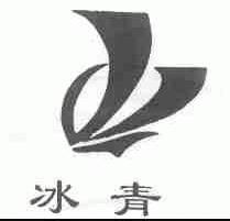 冰青
