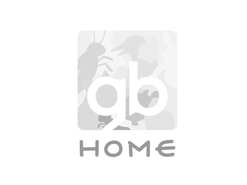 GB HOME