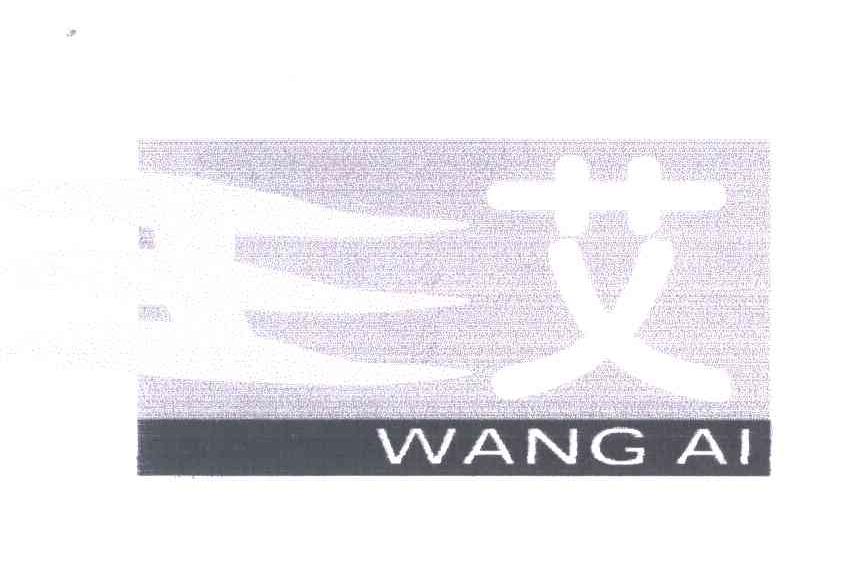 王艾;WANG AI