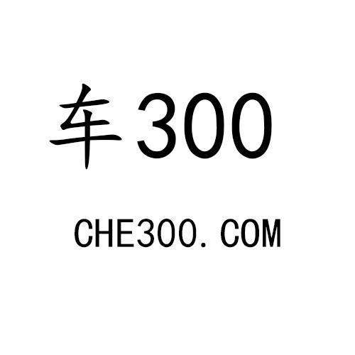 车 300 CHE 300.COM
