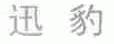 迅豹