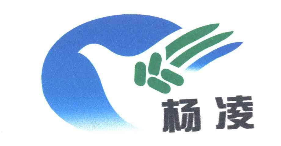 杨凌
